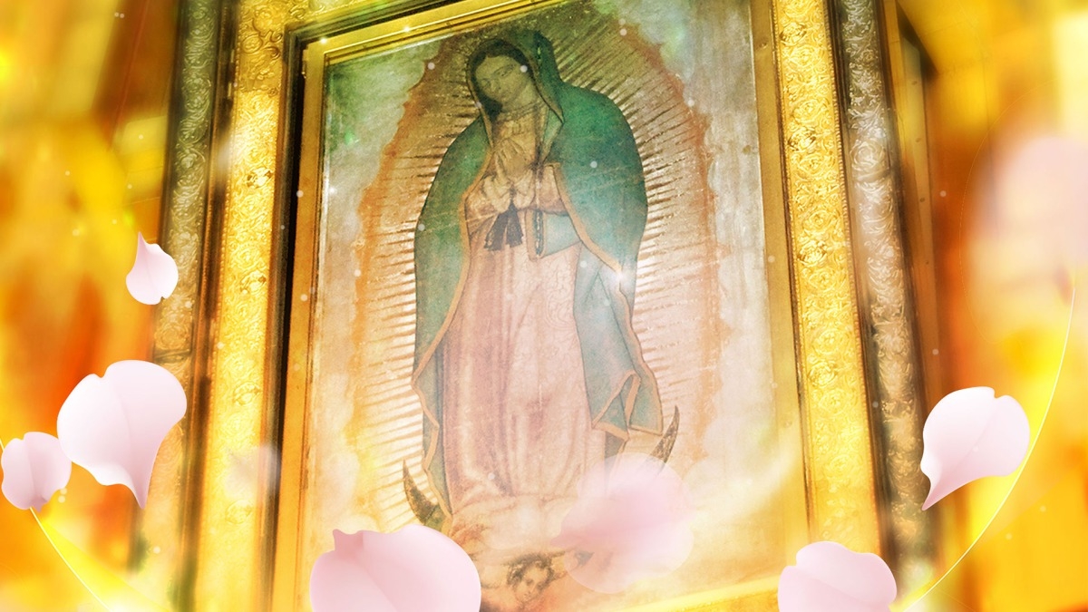 La rosa de Guadalupe