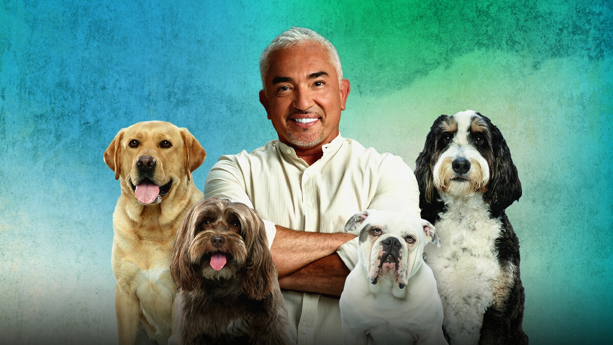 Cesar Millan: Better Human Better Dog