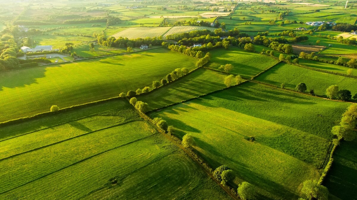 Aerialscapes