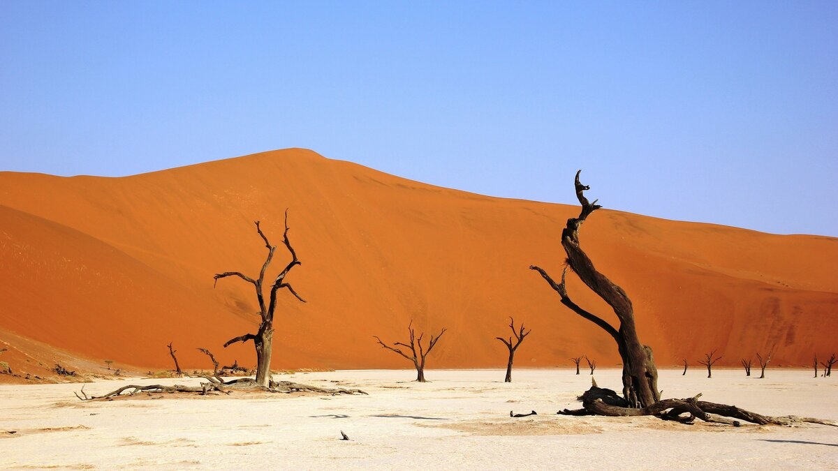 Desert Landscapes